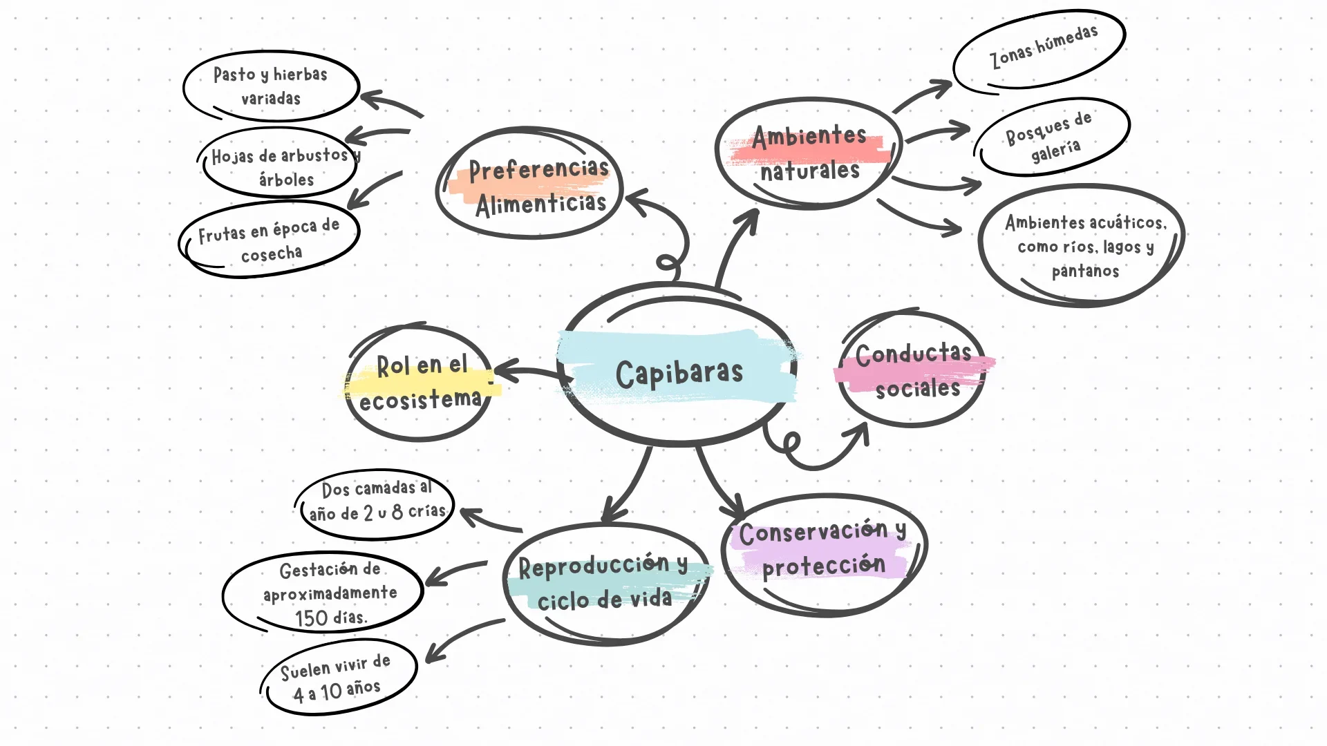 Mapa mental con múltiples ramas de los subtemas acerca de los Capibaras