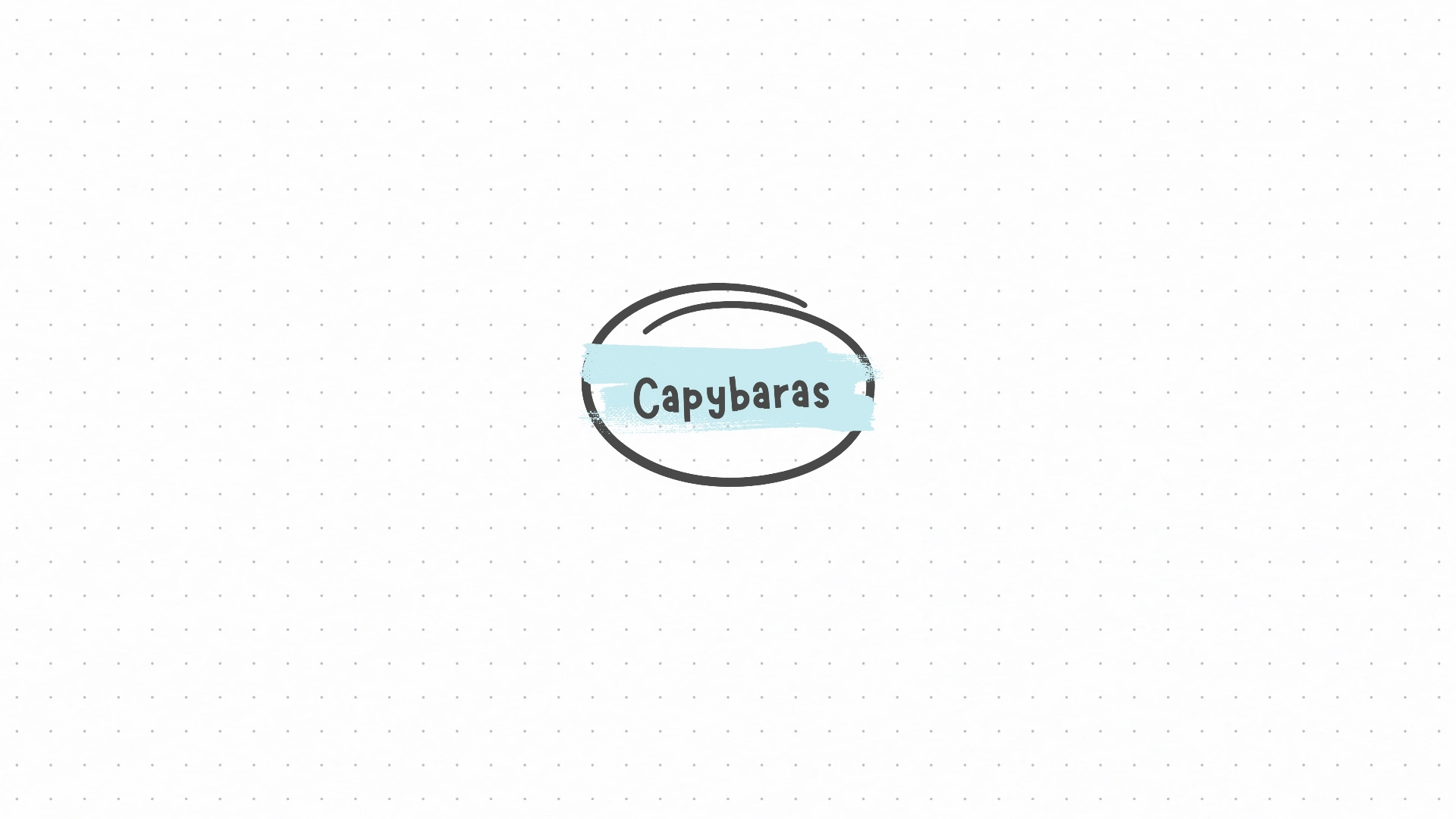 Mind map with the general topic about Capybaras